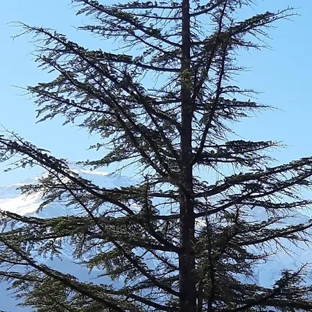 Casa Ai Piedi Del Monte Camicia Castelli