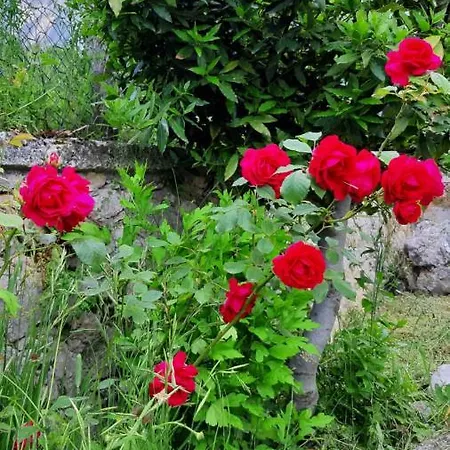 בית נופש Casa Ai Piedi Del Monte Camicia