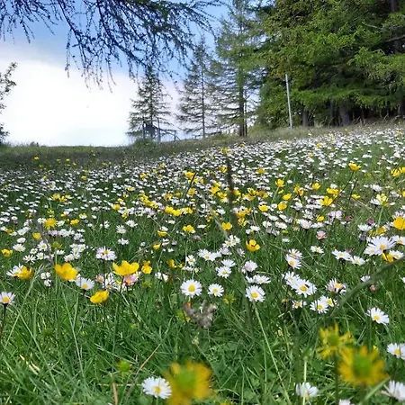 Casa Ai Piedi Del Monte Camicia * Castelli