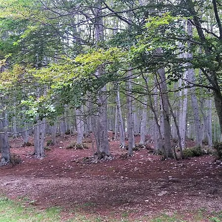 Casa Ai Piedi Del Monte Camicia *