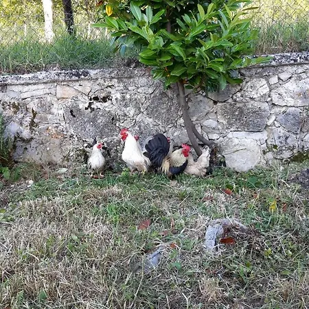 Casa Ai Piedi Del Monte Camicia Castelli