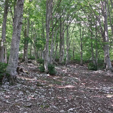 Casa Ai Piedi Del Monte Camicia Castelli