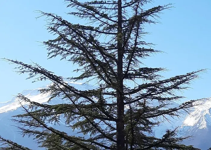 Casa Ai Piedi Del Monte Camicia Castelli