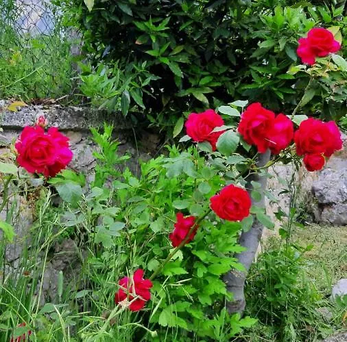 Tatil Evi Casa Ai Piedi Del Monte Camicia