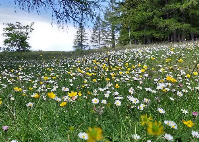 Casa Ai Piedi Del Monte Camicia * Castelli