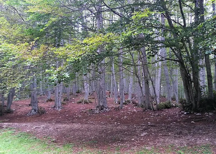 Casa Ai Piedi Del Monte Camicia *