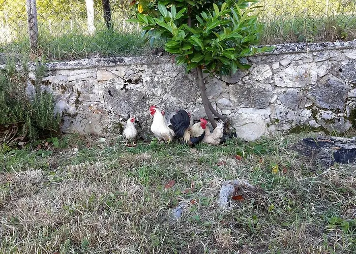 Casa Ai Piedi Del Monte Camicia Castelli