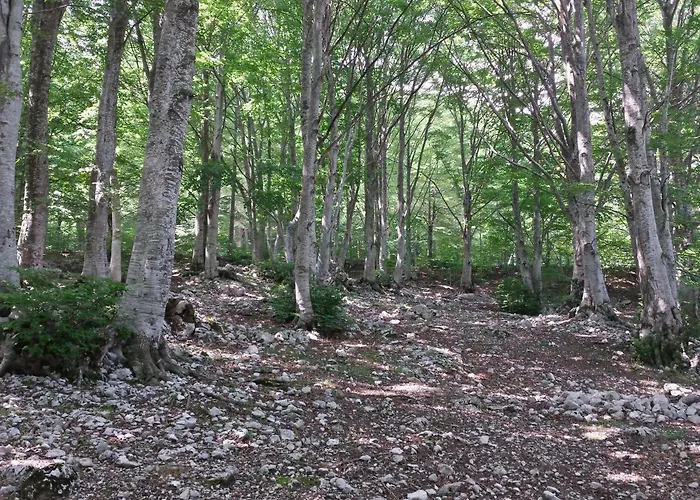 Casa Ai Piedi Del Monte Camicia Castelli